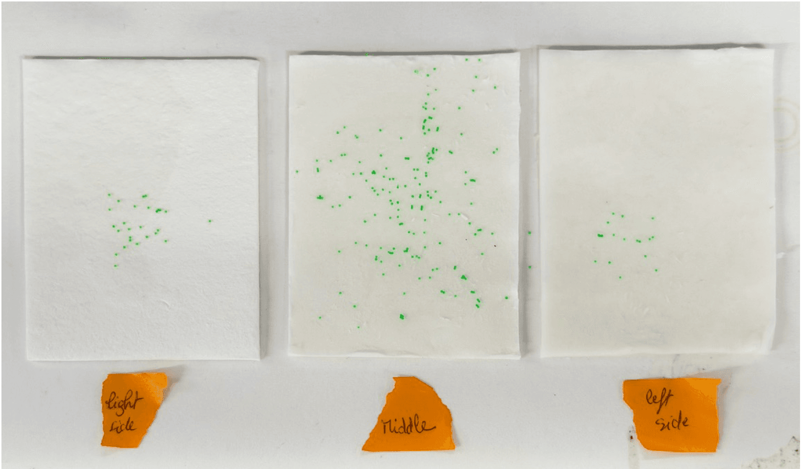 Three filter papers from the left, middle, and right of the chamber, showing green microplastic particles concentrated in the middle.